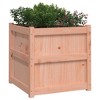 vidaXL Garden Planter 23.6"x23.6"x23.6" Solid Wood Douglas - 4 of 4