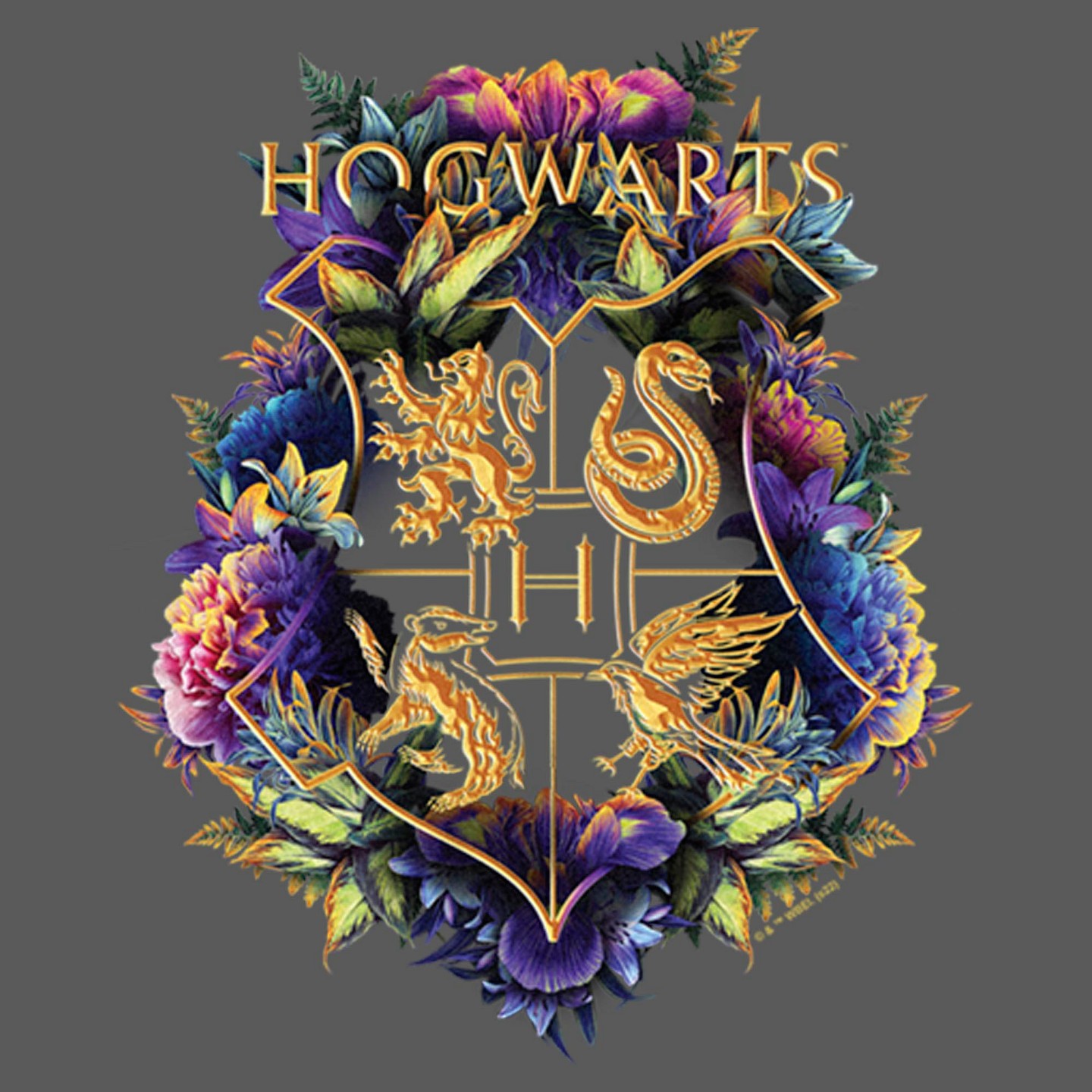 Футболка Harry Potter Hogwarts Plant Crest T-Shirt - Black для девочек, цвет: Чёрный — фото 2
