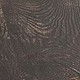 dark oak