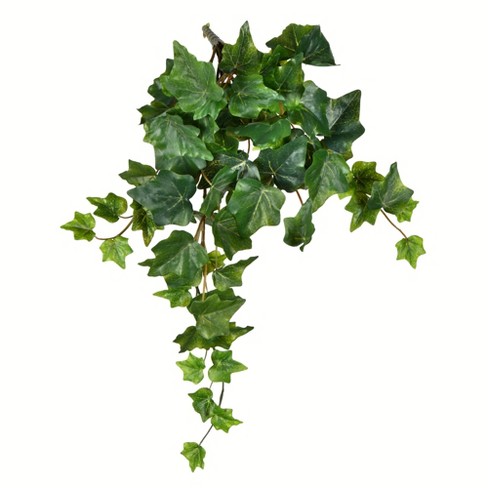 Vickerman Artificial Light Green Ivy Hanging Bush : Target