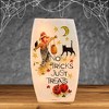 Stony Creek 8.0 Inch Trick Or Treat Pre-Lit Med Vase Halloween Lighted Glass Accent , Halloween Decor Halloween Pre-Lit Vase (1PC) - 2 of 4