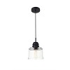 Elegant Lighting Kenna 1 Light Chrome Pendant With Clear Glass - 3 of 4