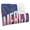 University Of Detroit Mercy Fan Zone Silky Touch Super Soft Throw Blanket 50x60 - 3 of 4