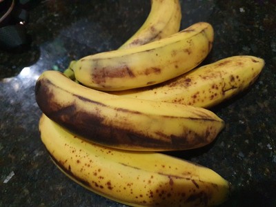 Guest review image 1 of 2, zoom in