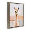 Stupell Industries Rustic Llama Portrait, 18" x 18" - 3 of 4