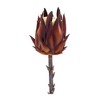 Protea Stem Set Of 6 – Orange & Brown Faux Stems – 19.75"H – Indoor Floral Decor – By Melrose - 2 of 3