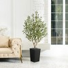 Artificial Olive Tree 5ft/6ft Tall Faux Indoor Plant - Realistic Green Leaves and Black Olives - Decorative Potted Tree for Living Room Home Office - 2 of 4
