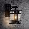 Grayter Outdoor Wall Lantern - PLT4013 - Clear/Black - Safavieh - 3 of 4