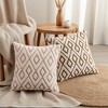 REGALWOVEN Geometric Soft Snowflake Fleece Throw Pillow Cover with Hidden Zippered for Sofa Living Room Chair Home Decor 2 Pcs - 4 of 4