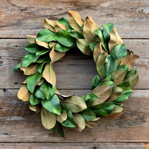 Park Hill Collection Estate Magnolia Wreath - 1 of 1