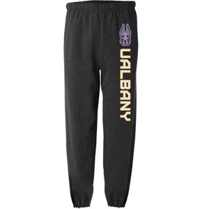 University of Albany Official Collegiate Team Logo Jogger Sweatpants - 1 of 4