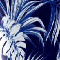 navy palm print