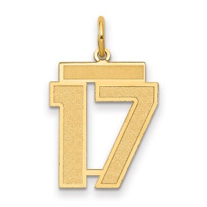 Black Bow Jewelry 14k Yellow Gold, Jersey Collection, Medium Number 17 Pendant - 1 of 3