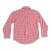 Boy's Button Down Checked Shirt - Pedal - 3 of 3