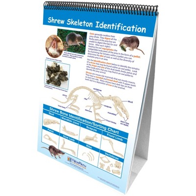 NewPath Learning Owls & Owl Pellets Write-On/Wipe-Off Flip Chart Set, Grades 5 to 9