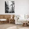 Stupell Industries Forest Light Shining Through Tall Trees Landscape Photography, 48" x 36" - 2 of 4