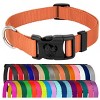 Country Brook Petz American Made Deluxe Nylon Dog Collar - 2 of 4
