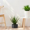 Spassway Indoor Outdoor Round Metal Planter Pot Planter Box Patio Garden Bed Black - 4 of 4
