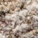 ivory, olive, sage, dusty pink, pale blue, medium brown