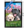 Trends International Keith Kimberlin - Bulldog Puppies Framed Wall Poster Prints - 3 of 4