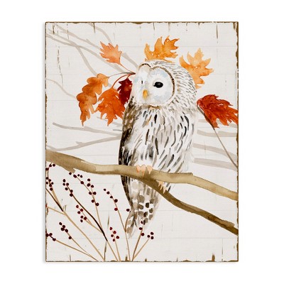 Stupell Industries Owl In Fall Forest Animal Watercolor Painting