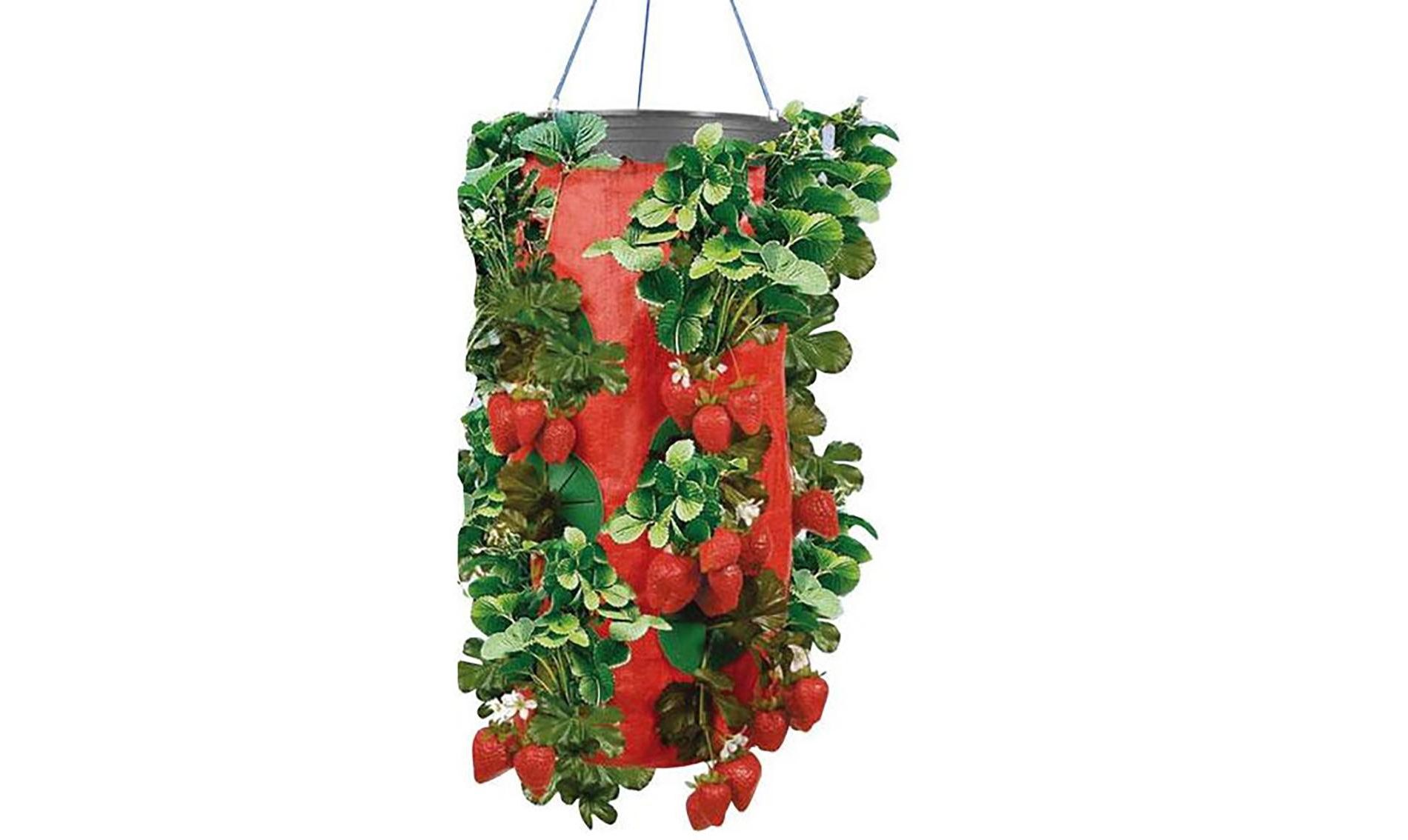 5 Star Super Deals Vertical Strawberry Hanging Planter & Upside Down Hanging Planter Container Herb Gardening Grow Organic Bag Balcony Planter