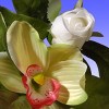 National Tree Company 72" Spring Flowers Garland - 4 of 4