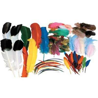 Creativity Street Non-Toxic Assorted Shape Feather Classroom pk, Assorted Size, Assorted Color