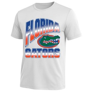 NCAA Florida Gators Men's White Short Sleeve T-Shirt - XXL : Target