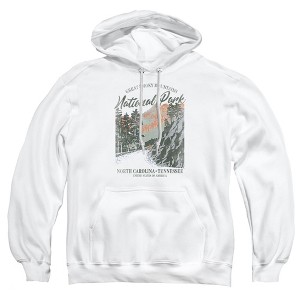 Men's Great Smoky Mountains National Park Vintage Pull-Over Hoodie - 1 of 4