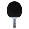 Butterfly Viscaria Pro-Line Racket + Dignics 05 + Dignics 05 - 4 of 4