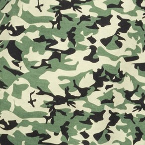 camouflage