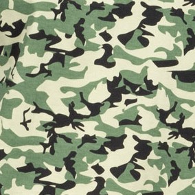 camouflage