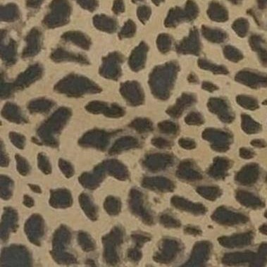 light leopard print