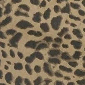 light leopard print