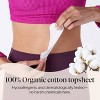 Cora Invisi-feel Daily Panty Liner Micro Thin Organic Cotton Topsheet - 80ct - 4 of 4