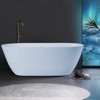 55 in. Oval Acrylic Soaking Bath Tub Flatbottom Freestanding Bathtub with Chrome Removable Drain - 2 of 4