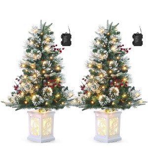 3FT Pre Lit Premium Potted Flocked Arctic Fir Christmas Tree, Artificial Mini Pre Lit Xmas Tree Christmas Decoration Snowflake White Base - 1 of 4