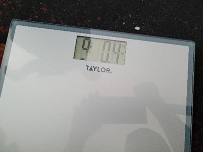 Taylor 350 lb Digital Bathroom Scale White/Gray - Ace Hardware