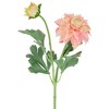 Northlight Real Touch™ Dusty Pink Artificial Dahlia  Floral Sprays, Set of 6 - 23" - 3 of 4