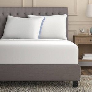 Sealy King 2pk Extra Firm Maintains Shape Pillow - 1 of 4