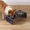 THE LICKER STORE Keaton Modern Acrylic Rectangular Elevated Pet Feeder - 2 of 4