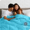 Bare Home Goose Down Alternative Comforter Set - image 3 of 4