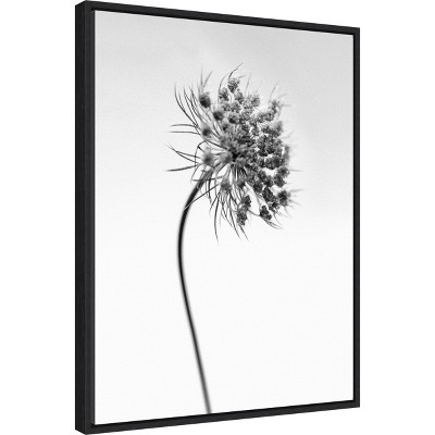 Black and White Botanical Lithograph Canvas Print with Black Frame
