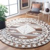 Aspen APN550 Hand Tufted Indoor Rugs - Safavieh - 2 of 4