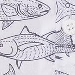 saltwater fish white