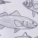 saltwater fish white