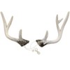 HalloweenCostumes.com    Adult Deer Antlers, Yellow - 4 of 4