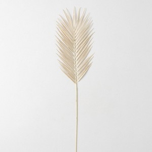 Sullivans Artificial Fern Stem 34"H Off-White - 1 of 2
