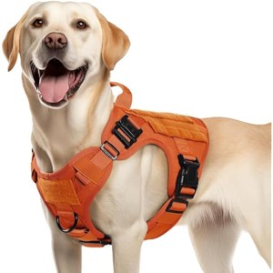 rabbitgoo Tactical Dog , Heavy Duty Pet , No-Pull Service Vest Medium Breed, Adjustable Military Dog Vest for Training Hunting Walking, Orange, M - 1 of 1